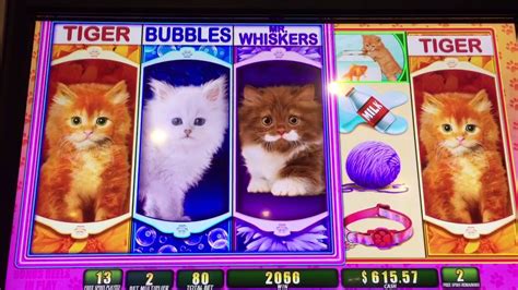 omg kittens slot machine - omg kittens free play